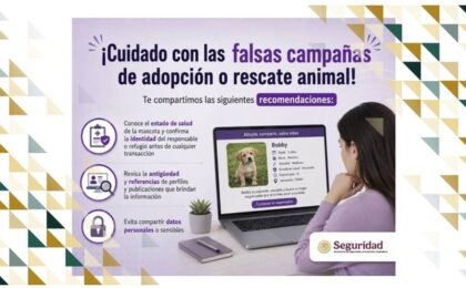 Consejos para prevenir fraudes en campañas falsas de adopción y rescate de animales