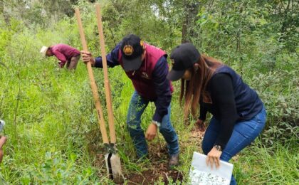 Se llevan a cabo la siembra de 2 mil pinos para restaurar la zona forestal de El Camaleón, en Tulancingo.