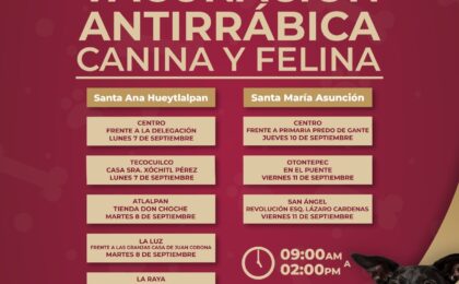 Se llevará a cabo una jornada de vacunación antirrábica gratuita en Tulancingo.