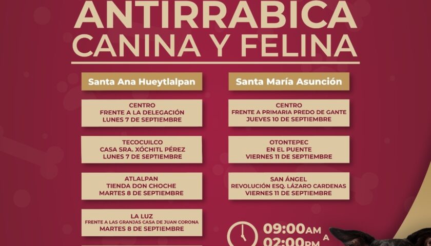 Se llevará a cabo una jornada de vacunación antirrábica gratuita en Tulancingo.
