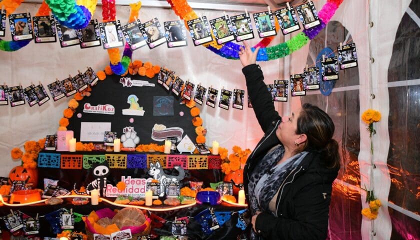 Se inauguró un altar en honor a los animales de compañía en Tulancingo